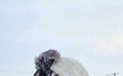 新国贸饭店9分40秒